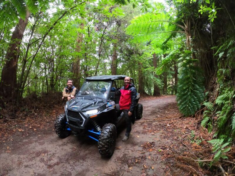 Exclusive Private Buggy Adventure: Forest and Mountains - FAQ