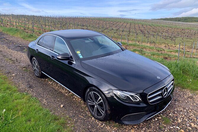 Exclusive private Champagne tour from Paris with tastings - Who Would Benefit Most from This Tour?