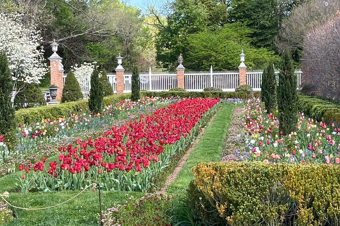 Exclusive Private Colonial Williamsburg Walking Tour by a Local - Key Points