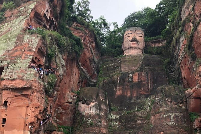 Exclusive Private Day Tour with Giant Pandas and Leshan Buddha - Convenience and Comfort from the Start