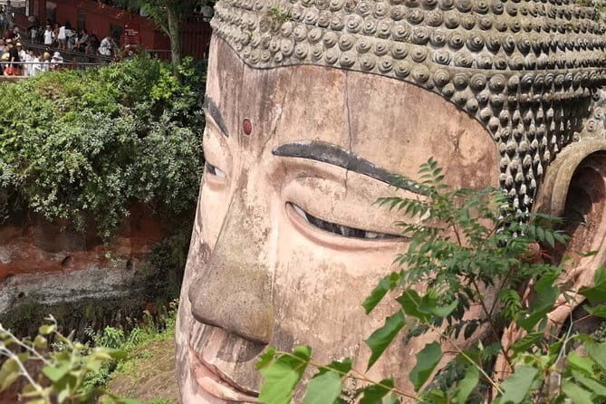 Exclusive Private Day Tour with Giant Pandas and Leshan Buddha - Who Will Love This Tour?