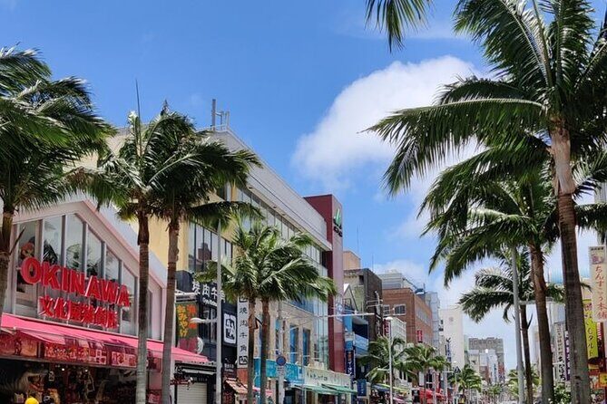 Exclusive Private Full Day Okinawa Island Tour with a Local Guide - An In-Depth Look at the Okinawa Private Full-Day Tour