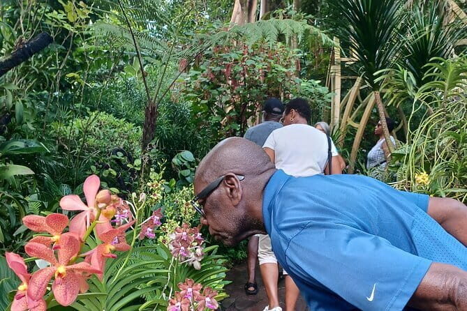 Exclusive Private Tour by a Singaporean Guide - A Closer Look at the Singapore Private Tour