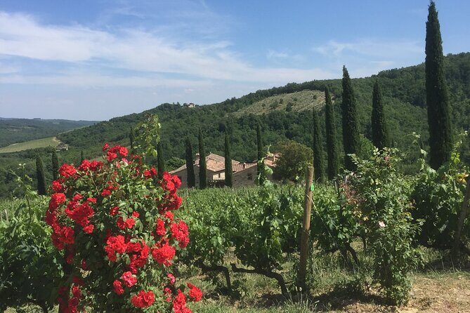 Exclusive Private tour To Siena and San Gimignano - Optional Stops: Wineries and Lunch