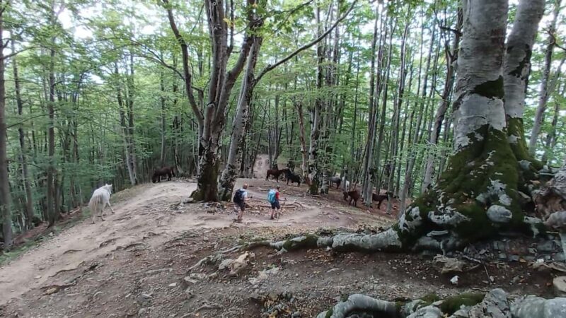 Exclusive Private Tour to Theth: Waterfall and the Blue Eye - Exploring the Private Tour to Theth: Waterfall and the Blue Eye