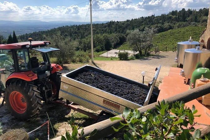 Exclusive Private Tuscany Wine Tour & Food Pairing Session - An In-Depth Look at the Experience
