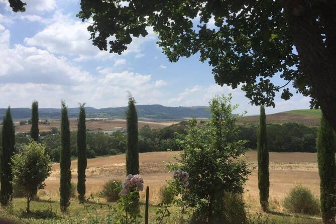Exclusive Private Tuscany Wine Tour & Food Pairing Session - A Deep Dive into the Experience