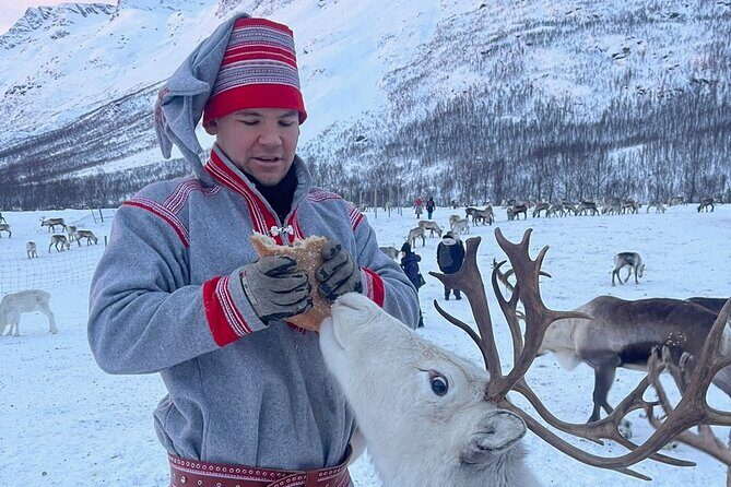 Exclusive Reindeers Experience in small groups, Tromso - Learning About Sami Culture and History