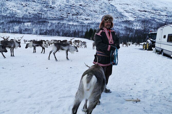 Exclusive Reindeers Experience in small groups, Tromso - Weather Considerations and Flexibility