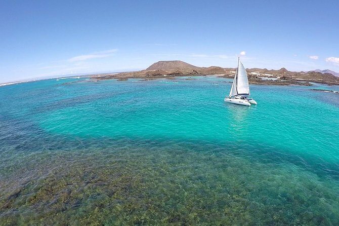 Exclusive Sailing Catamaran Experience to Lobos Island with lunch and drinks - Analyzing the Cost and Value