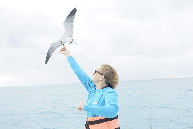 Exclusive Sailing Photo Studio - The Sum Up