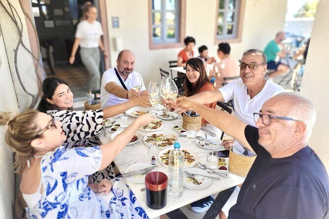 Exclusive Santorini Private Wine Tasting & Greek Lunch Experience - Key Points