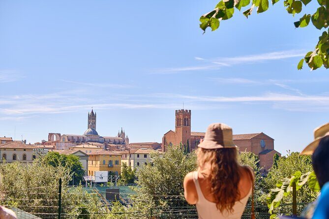 Exclusive Siena and San Gimignano Tour & Chianti Wine Experience - The Gothic Grandeur of Siena’s Duomo