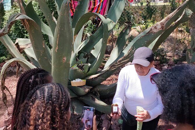 Exclusive Teotihuacán Pyramids, Cave & Hot Air Balloon Ride - What the Tour Offers: A Complete Breakdown