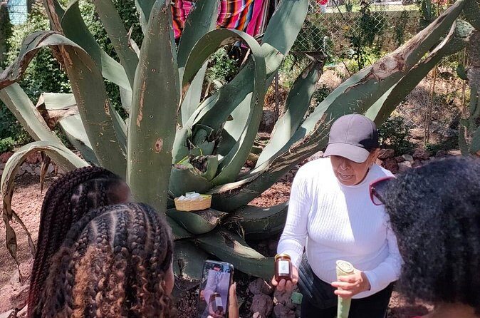 Exclusive Teotihuacán Pyramids, Cave & Hot Air Balloon Ride - Final Thoughts