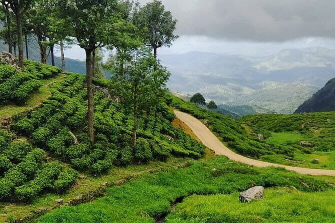 Exclusive : The Highest Waterfall Bambarakanda Trekking - Continuing to Lanka Ella: Solitude and Serenity