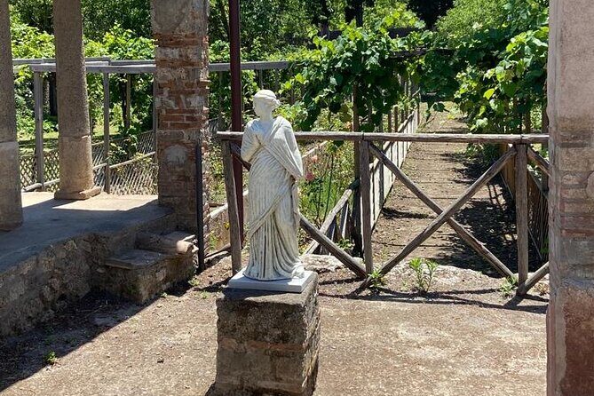 Exclusive tour in Sorrento and Pompeii with transport and tickets - FAQ