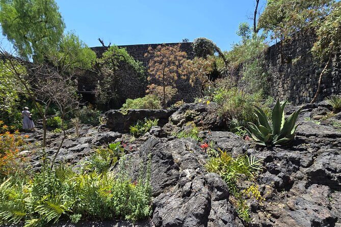 EXCLUSIVE TOUR Luis Barragán - Casa Pedregal - Who Will Enjoy This Tour?