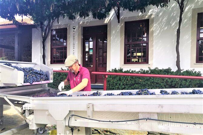 Exclusive Tour Porto-Douro Valley-Wine Tasting/Lunch/Boat Tour - Authentic Experiences That Stand Out