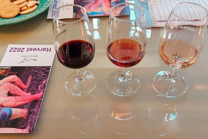 Exclusive Tour Porto-Douro Valley-Wine Tasting/Lunch/Boat Tour - Who Should Consider This Tour?