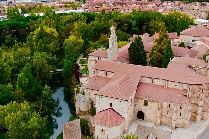 Exclusive tour: Ribera del Duero "like a native", with lamb in a wood oven - Why This Tour Stands Out
