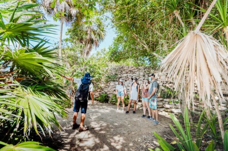 Exclusive Tulum & Coba Ruins Private Tour with Lunch - The Sum Up: Is This Tour Right for You?