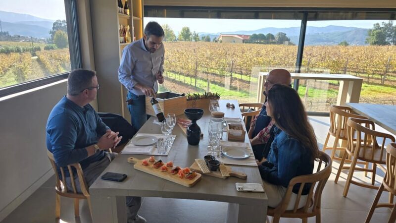 Exclusive Vinho Verde (Green Wine) experience & lunch - Who Is This Tour Best For?