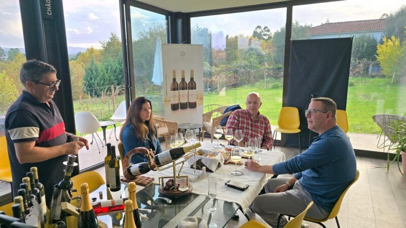 Exclusive Vinho Verde (Green Wine) experience & lunch - Final Thoughts