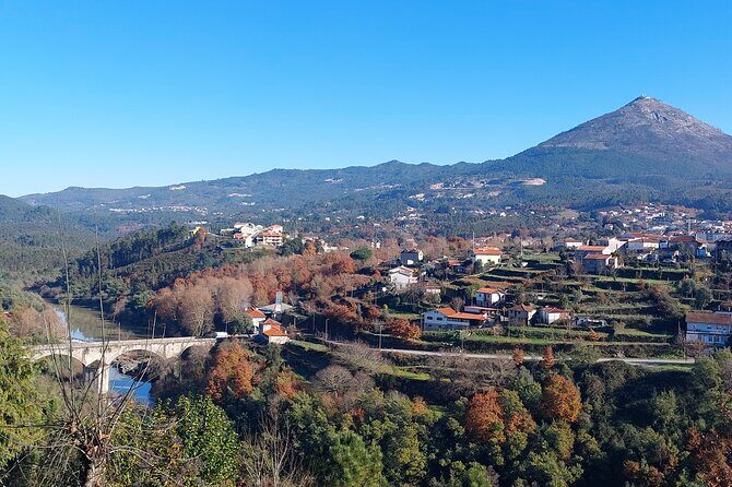 Exclusive Vinho Verde (Green Wine) experience & lunch - Unpacking the Experience: A Deep Dive into Every Detail