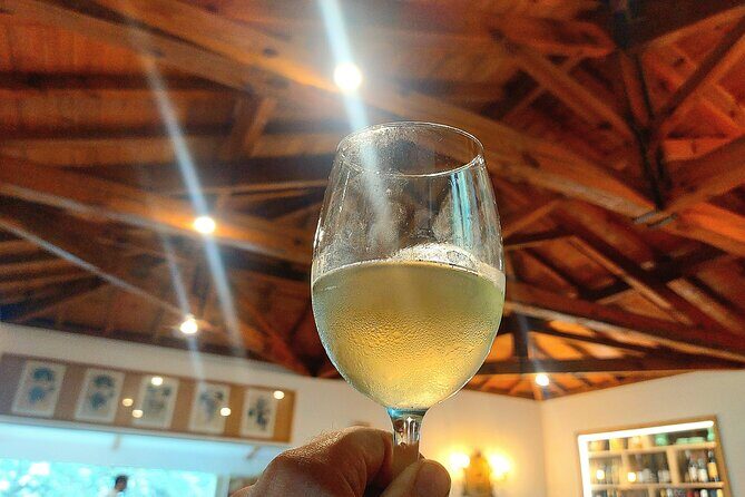 Exclusive Vinho Verde (Green Wine) experience & lunch - Final Thoughts