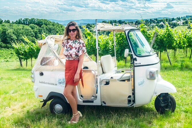 Exclusive VIP Top 10 Tour Vienna in Tuk Tuk - Who Is This Tour Best For?