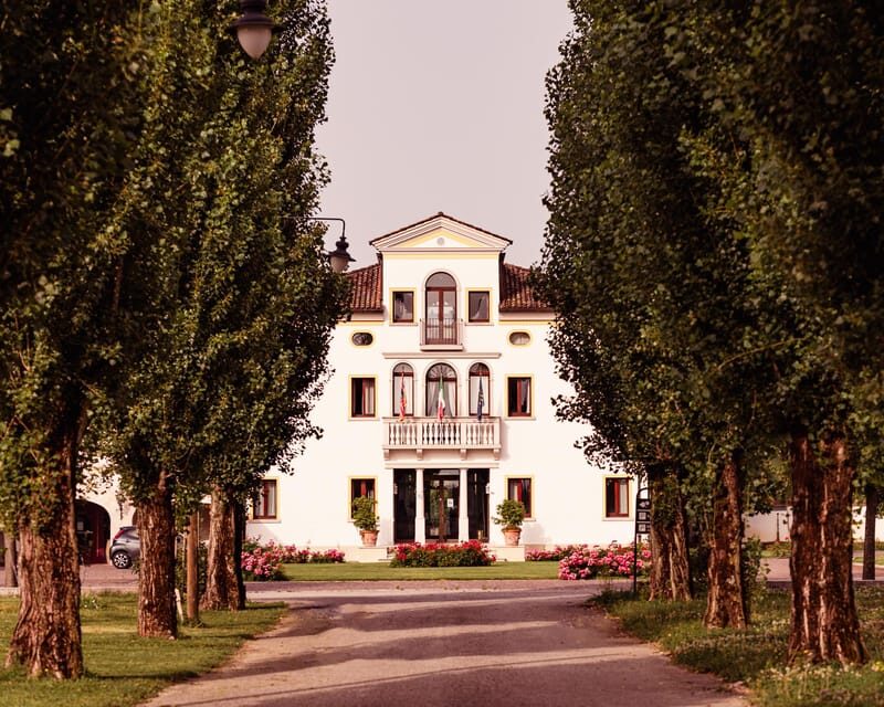 Exclusive Wine Experience: Venetian Best Vineyards - A Closer Look at the Experience