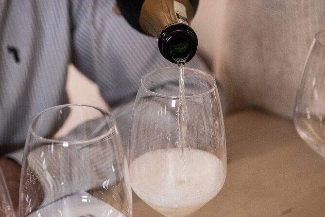 Exclusive Wine Tasting in the Historic Center of Siena - Who Should Book This?