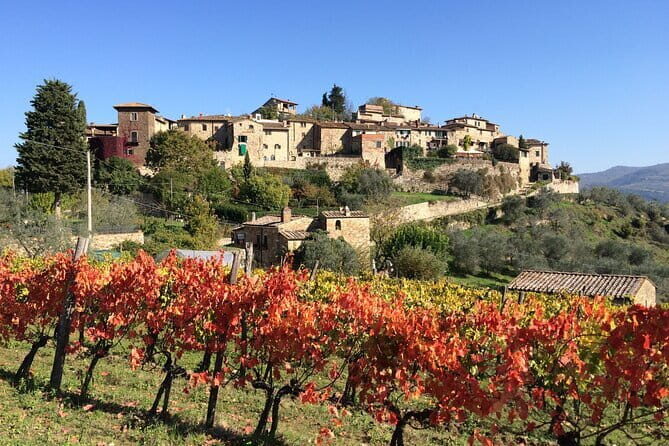 EXCLUSIVE Wine Tour in Chianti & San Gimignano (Lunch & Wine Tasting included) - Final Thoughts