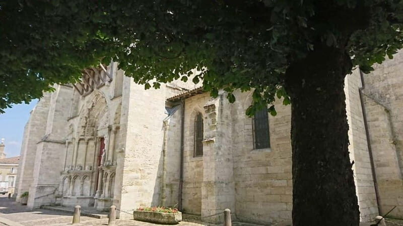 Exclusive Wine Tour of the St-Émilion Chateaux with tastings - Who Will Love This Tour?