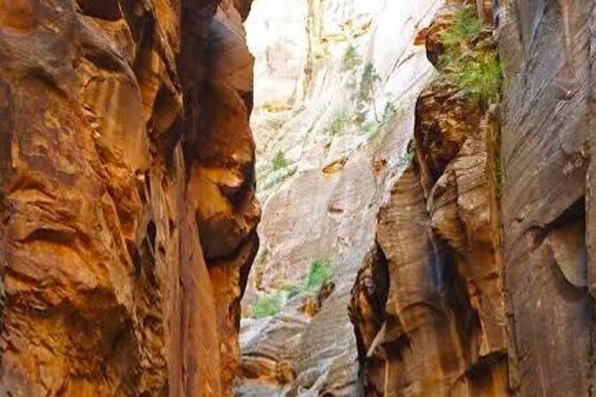 Exclusive Zion National Park Tours - What the Reviews Say