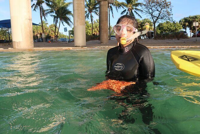 Exclusively Private Snorkel Adventures Training & Tours Ultimate - Key Points