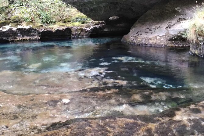 Excursion circus of Navacelles from Montpellier - Who Will Love This Tour?