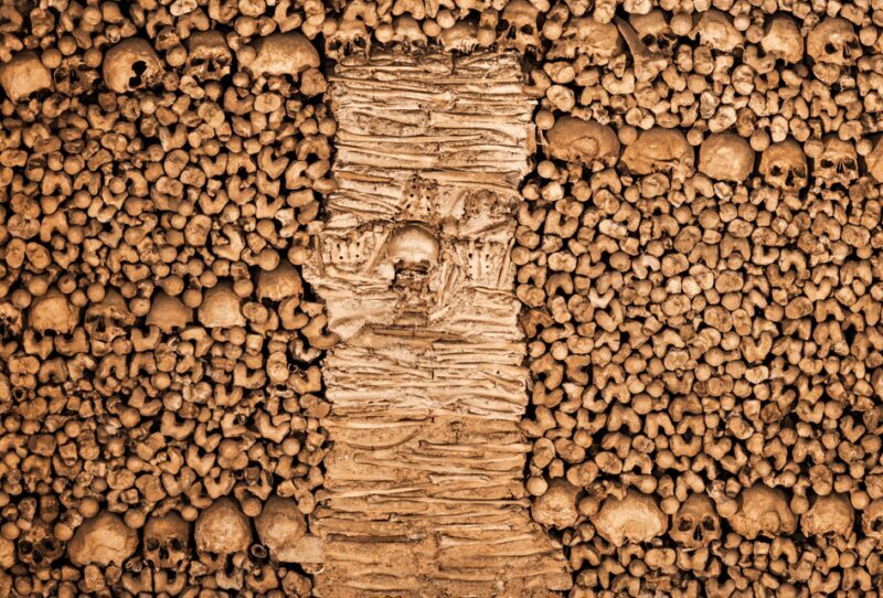 Excursion from Lisbon: ÉVORA + MONSARAZ and Alentejo Wines - A Deep Dive into the Tour Experience