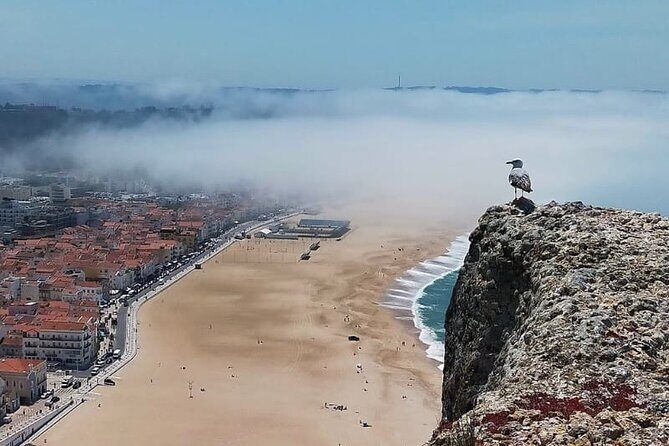 Excursion from Lisbon to Fátima Grutas Nazaré and Óbidos - Authentic Experiences and Hidden Gems