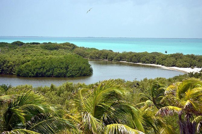 Excursion Isla Contoy & Isla Mujeres from Cancun - The Authenticity and Balance of the Experience