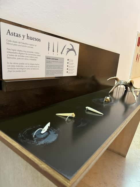 Excursion: Neocueva de Altamira | Santillana del Mar | Comillas - Key Points