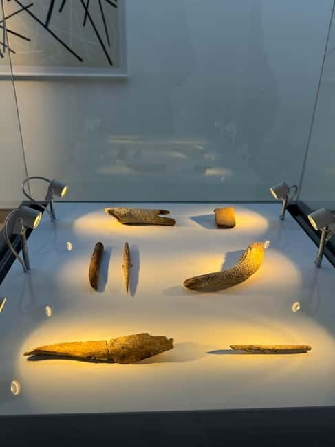 Excursion: Neocueva de Altamira | Santillana del Mar | Comillas - Why This Tour Offers Great Value