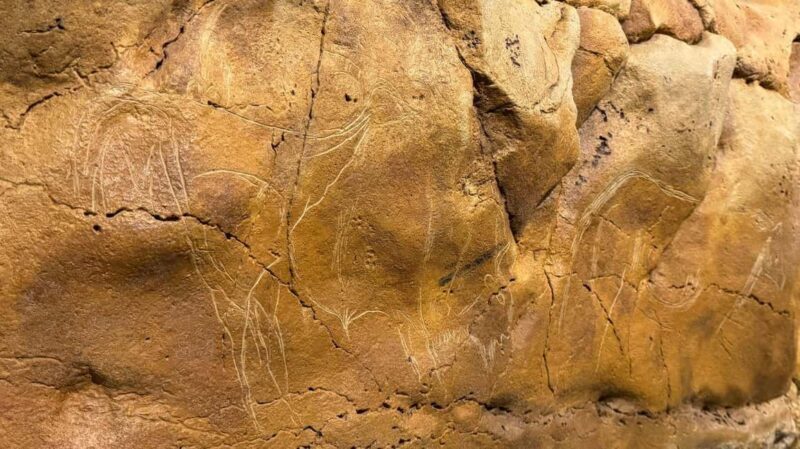 Excursion: Neocueva de Altamira | Santillana del Mar | Comillas - Who Will Love This Tour?