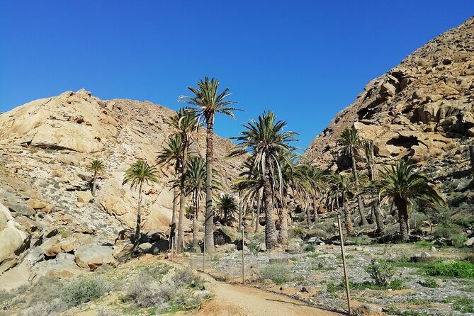 Excursion to Ajuy Caves with a secret Las Penitas canyon Hike - The Itinerary in Detail