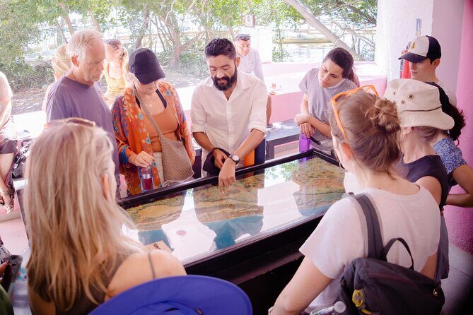 Excursion to Celestun Biosphere and Beach Day from Merida - Final Thoughts