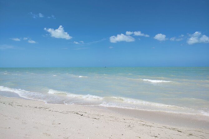 Excursion to Celestun, Swimming, Hiking & Boat Ride - The Itinerary in Detail