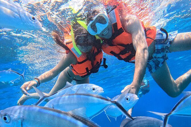 Excursion to Cozumel from Cancun - FAQ