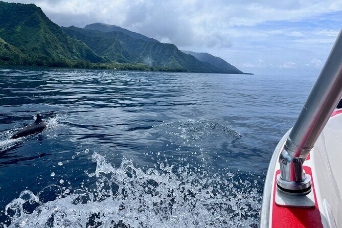 Excursion to discover the authentic Tahiti Peninsula 4:00 - Real Guest Experiences: Authentic Feedback