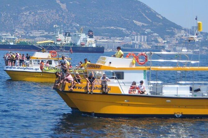 Excursion to Gibraltar with Dolphin Watching from Malaga - Who Should Consider This Tour?
